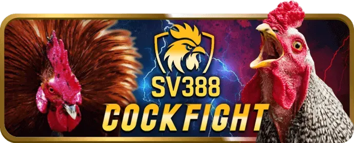Đa dạng trò chơi cá cược tại 11win